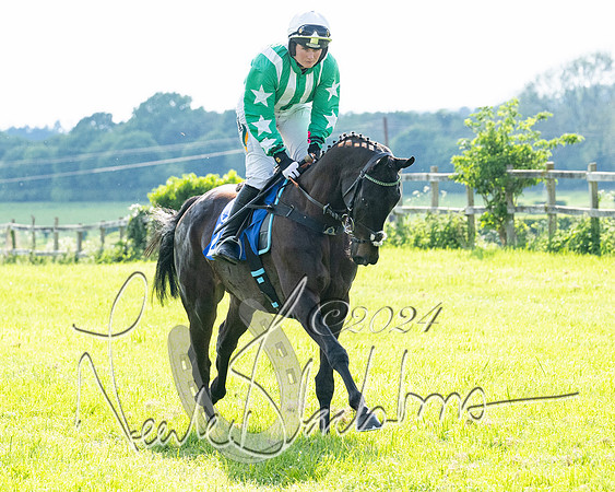 Race 5  - Maiden race 2m5F Div-2 (96 of 205)
