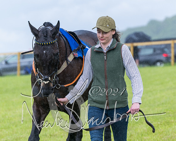 Race 1 - Owner-Trainer Conditions  (70 of 392)