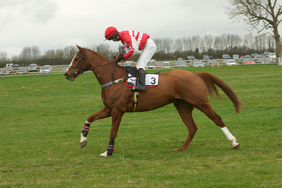 Race 5 - 4