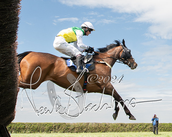 Race 2 - The Elliott of London maiden race (104 of 137)