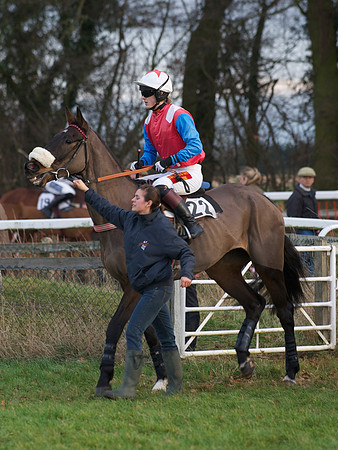 CHHC - Young Horse Maiden Division 2