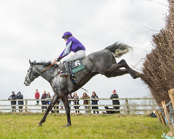 Race 5 - Restricted  (85 of 118)