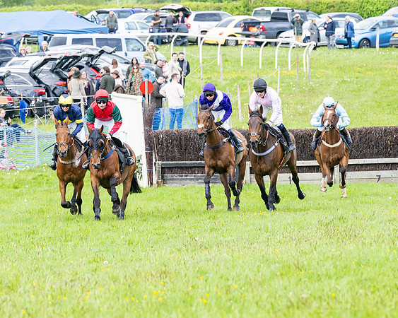 Race 2 - Veteran Horse (8 of 80)