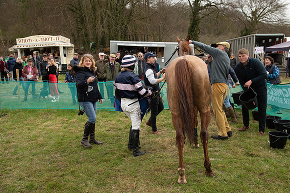 Race 2 - Veteran Horse (138 of 153)