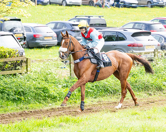 Race 5  - Novice riders (12 of 188)
