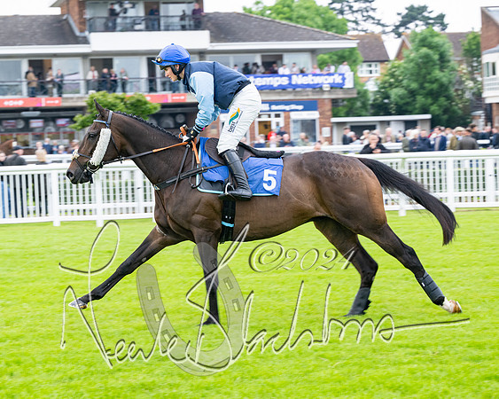 Race 3 - John Corbet Cup  (14 of 108)