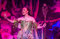 Swan Panto 2017