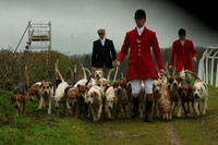 4 - OBH Hounds 2