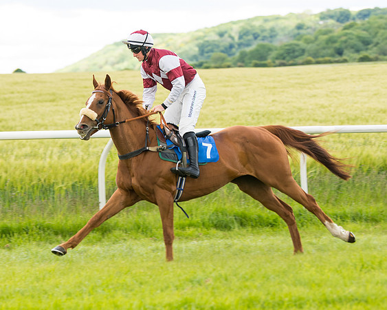 Race 1 - Owner Trainer Conditions  (38 of 133)