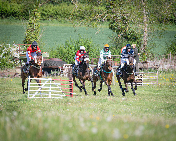 Race 5 - F N Pile and Sons PPORA Novice Riders (34 of 151)