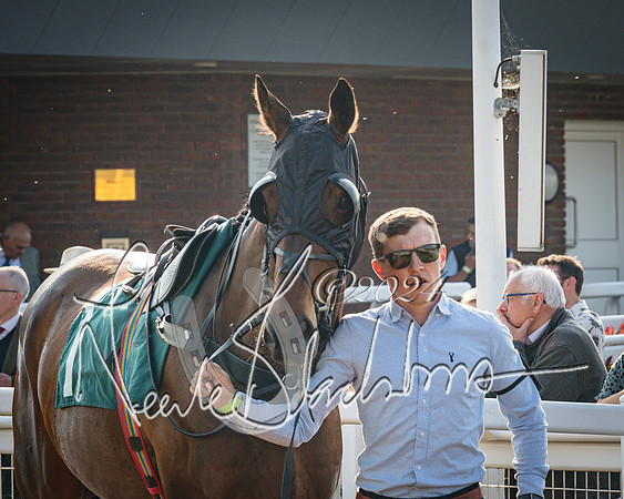 Race 3 - The Junior Jumpers open hunter's steeple chase 3m1f56y (23 of 156)