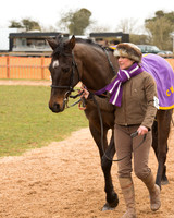Race 6 - Open Maiden (18 of 120).jpg