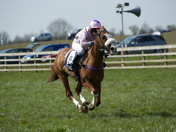 Pony Race 3 -  33