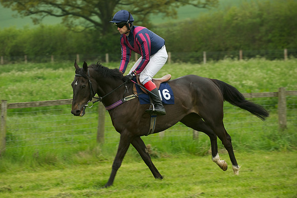 Race 2 - Novices 10