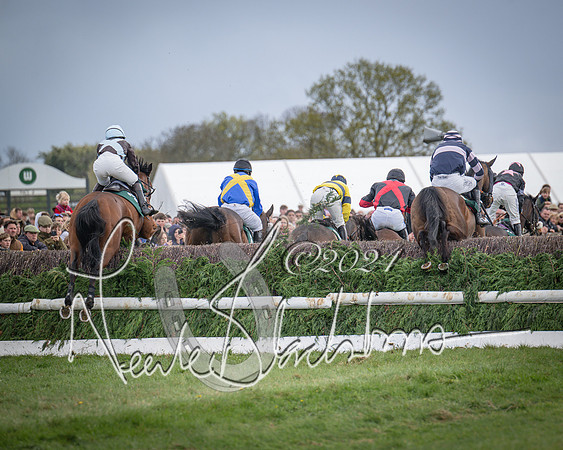 Race 3 - 5 years old and Over Maiden Race (58 of 130)