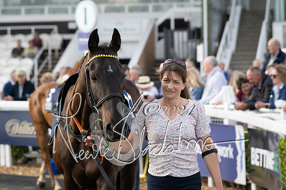 Race 3 - The pointtopoint.co.uk champion novices’ Hunter Chase (38 of 140)