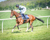 Race 2 The Highwayman Inn Restricted Race (13 of 144)