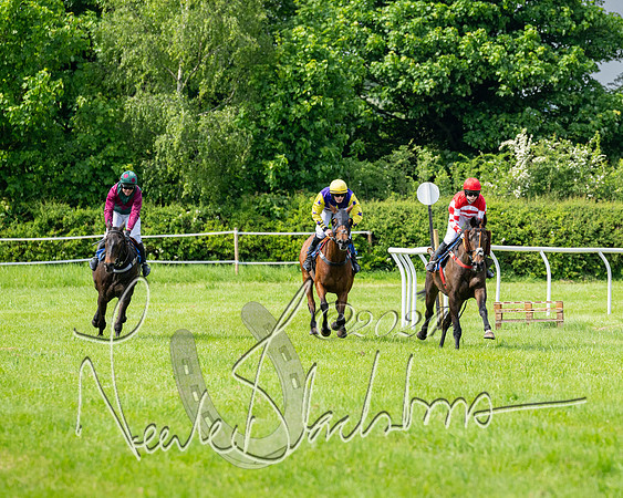 Race 2 - Restricted  (210 of 308)