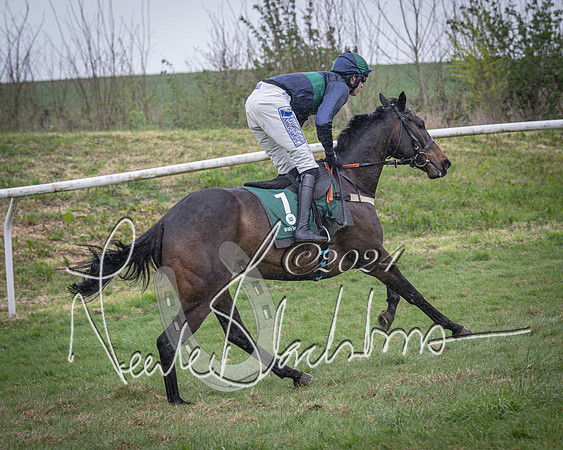 Race 7 - The Jockey Club maiden race for Mares and Fillies only (57 of 96)