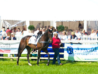 GR3_9491