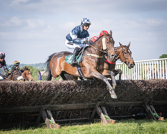 Race 5 - Restricted (55 of 116)