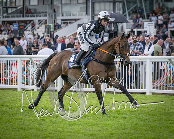 Race 2 - Olly Murphy Racing Stratford Ladies Open (32 of 111)