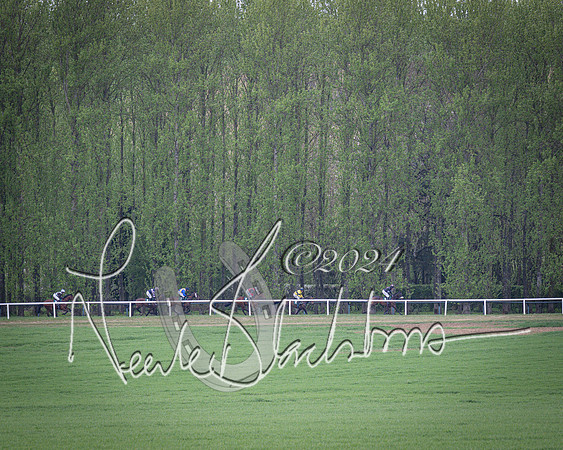 Race 3 - 5 years old and Over Maiden Race (33 of 130)