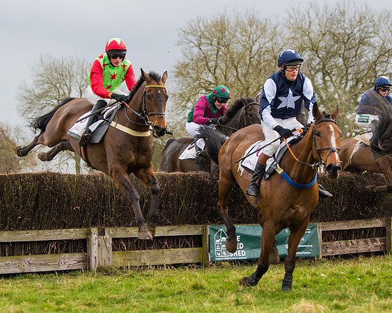 Race 2 - Open Maiden (84 of 128)
