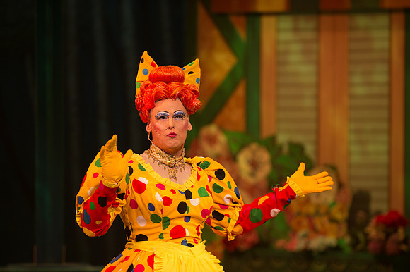 Swan Panto 2017
