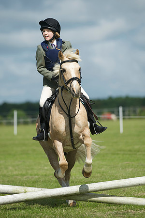 SOHS PC Summer Show at BCA 17th June 2012