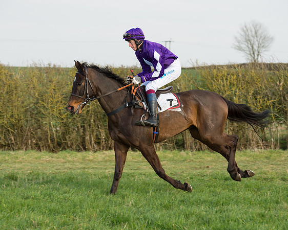Race 6 - Open Maiden Race (29 of 99).jpg