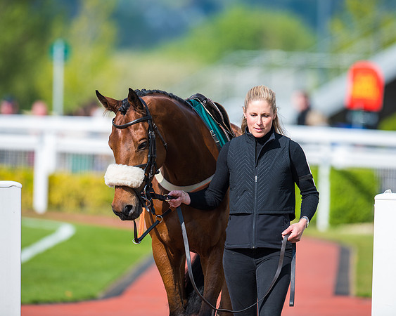 Race 1 - The open Hunter chase  (12 of 95)