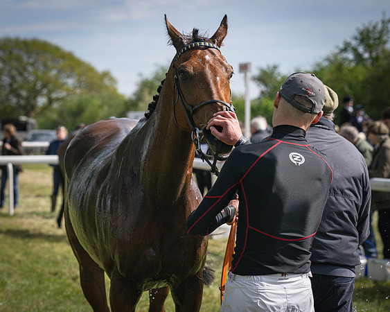 Race 3 - The Richardsons chartered Accountants Conditions Race [Level Three] for Novice Riders (115 of 117)