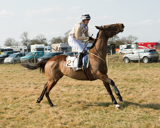 Race 2 - Open Maiden (2 of 101).jpg