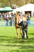 Race 7 - Restricted 2