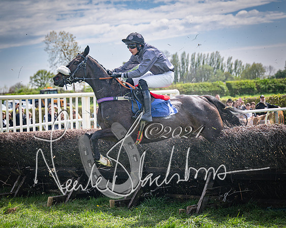 Race 2 - The Elliott of London maiden race (76 of 137)