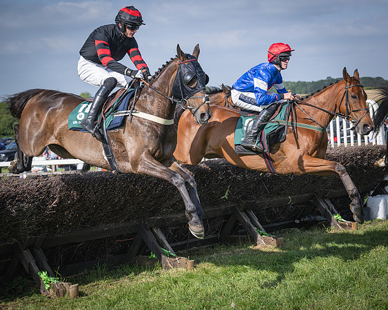 Race 6 - 2m5f Conditions (38 of 70)