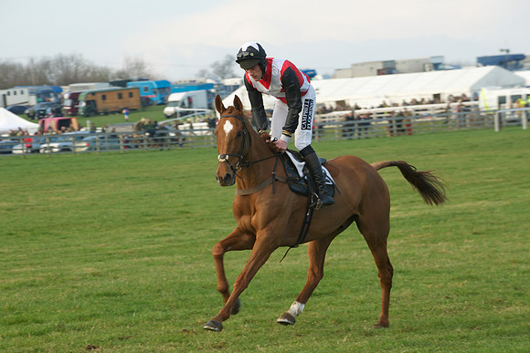 Race 7 - 8