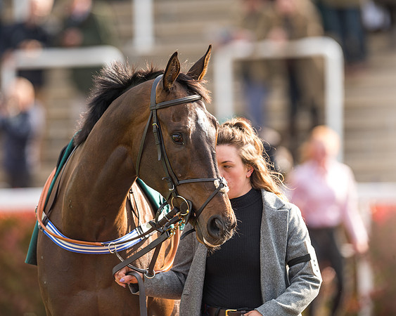 Race 2  -  Intermediate Point to Point Hunters' Steeple Chase (14 of 277)