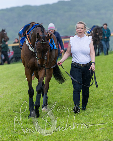 Race 1 - Owner-Trainer Conditions  (18 of 392)