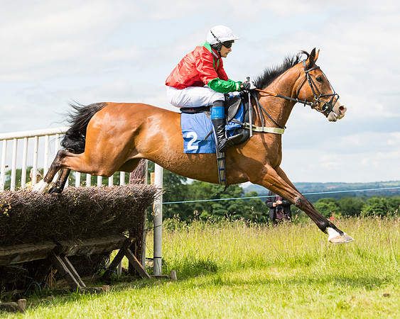 Race 2 - PPORA Novice Riders  (101 of 187)