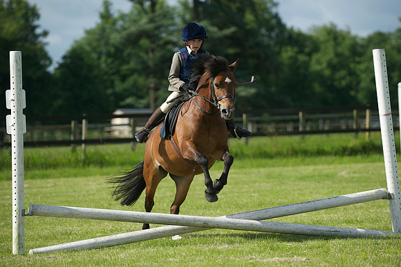 SOHS PC Summer Show at BCA 17th June 2012