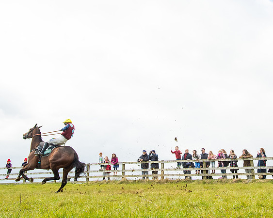 Race 5 - Restricted  (73 of 118)