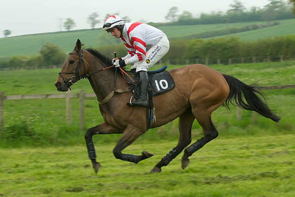 Race 5 - Restricted 24