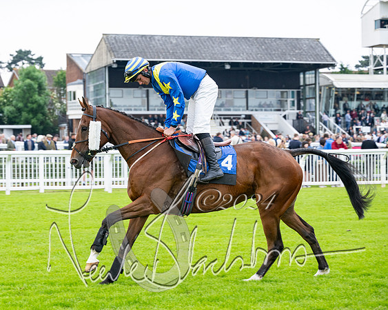Race 3 - John Corbet Cup  (17 of 108)