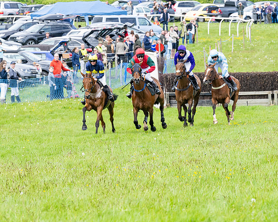 Race 2 - Veteran Horse (39 of 80)