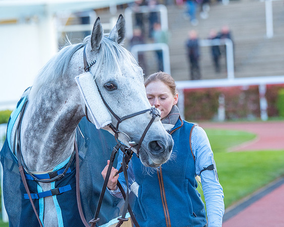 Race 7 - Glos Hussars  (41 of 245)