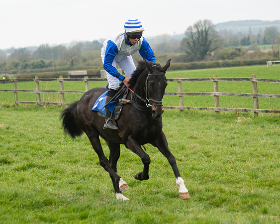 Race 3 - Open maiden  (39 of 273)