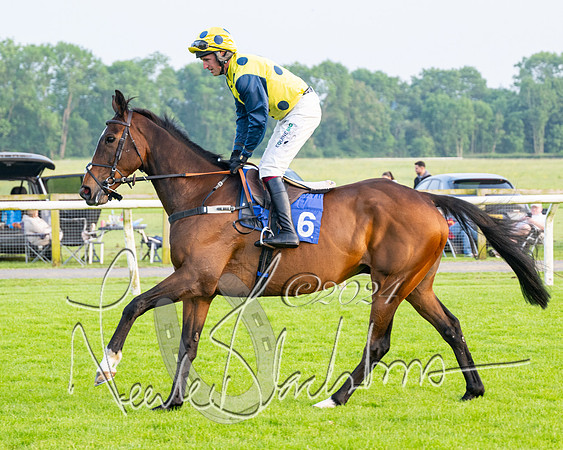 Race 5 - Peter Wright Handicap (8 of 117)