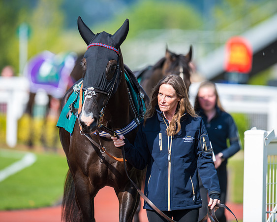 Race 1 - The open Hunter chase  (5 of 95)